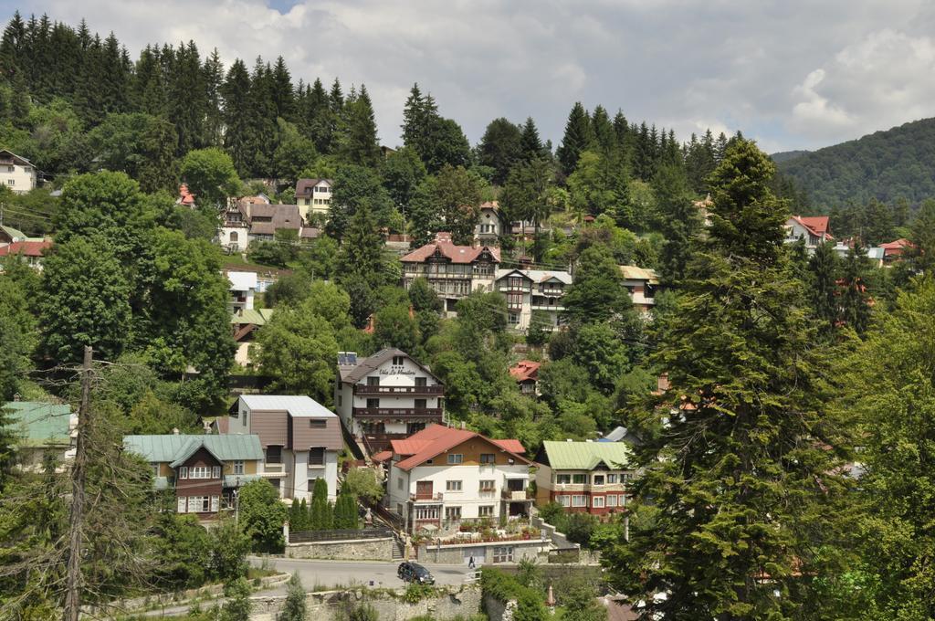 La Monitori Hotel Sinaia Ruang foto